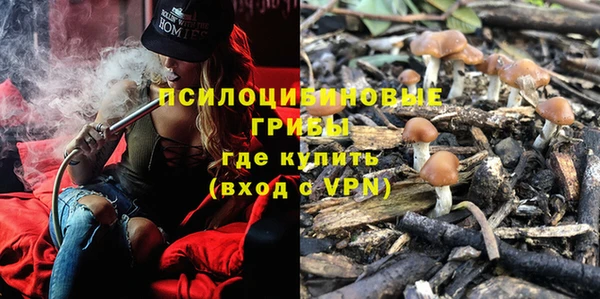 не бодяженный Абаза