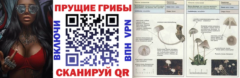 omg онион  Новоаннинский  Псилоцибиновые грибы Magic Shrooms 